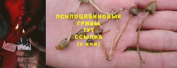 синтетический гашиш Осташков