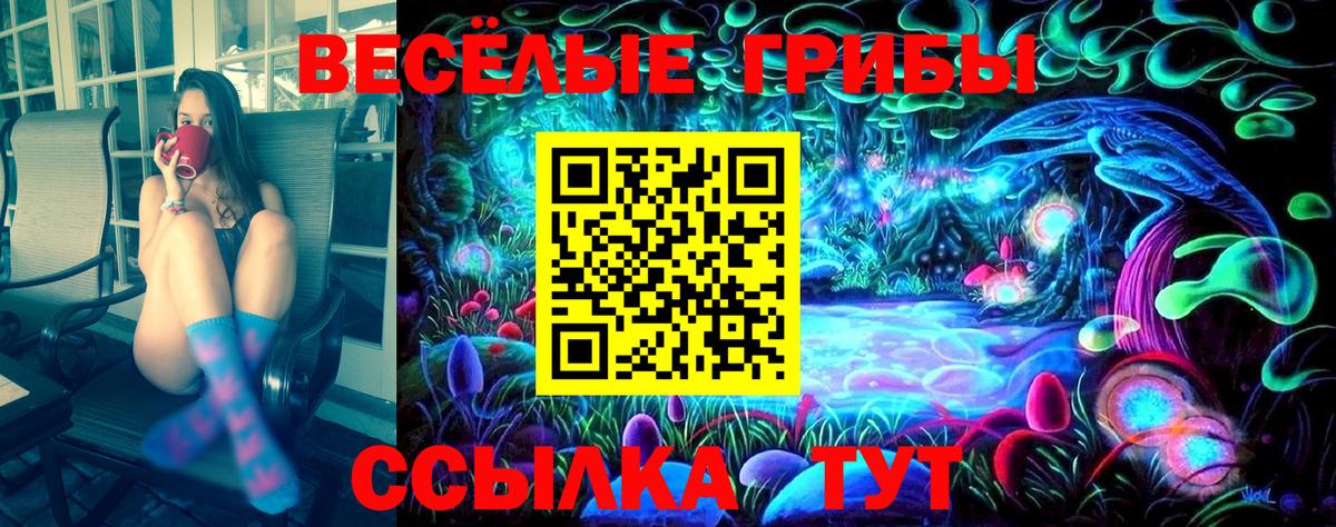Шахты  Галлюциногенные грибы Psilocybine cubensis  Вход с VPN  Галлюциногенные грибы Magic Shrooms 